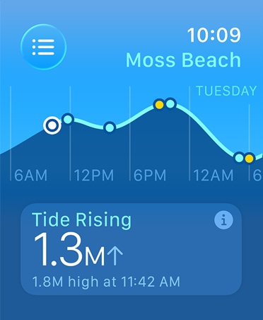 Tides app, metrics: high and low tides, rising and falling tides, line graph estimating times and tide points
