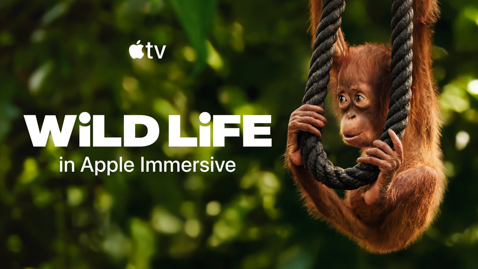 An image of Apple Immersive art for “Wild Life.”