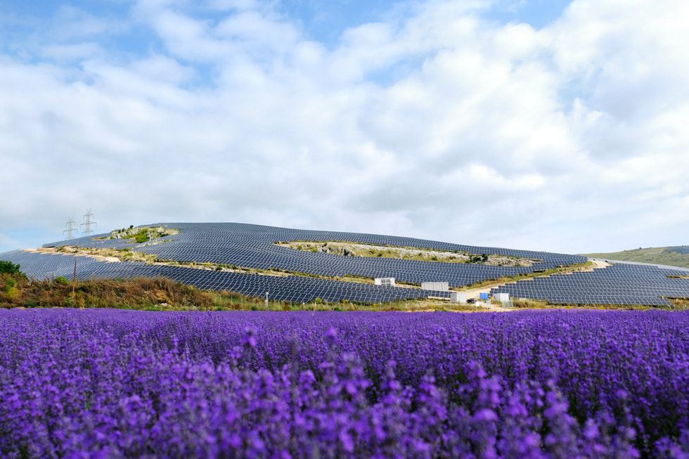 An aerial view of an Apple-funded renewable energy operation in Greece, surrounded by a field of vibrant purple flowers.