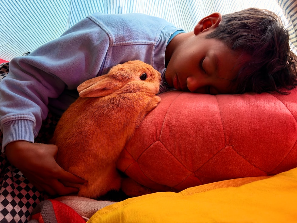 A person lays down and looks at their pet rabbit in a room with low lighting.