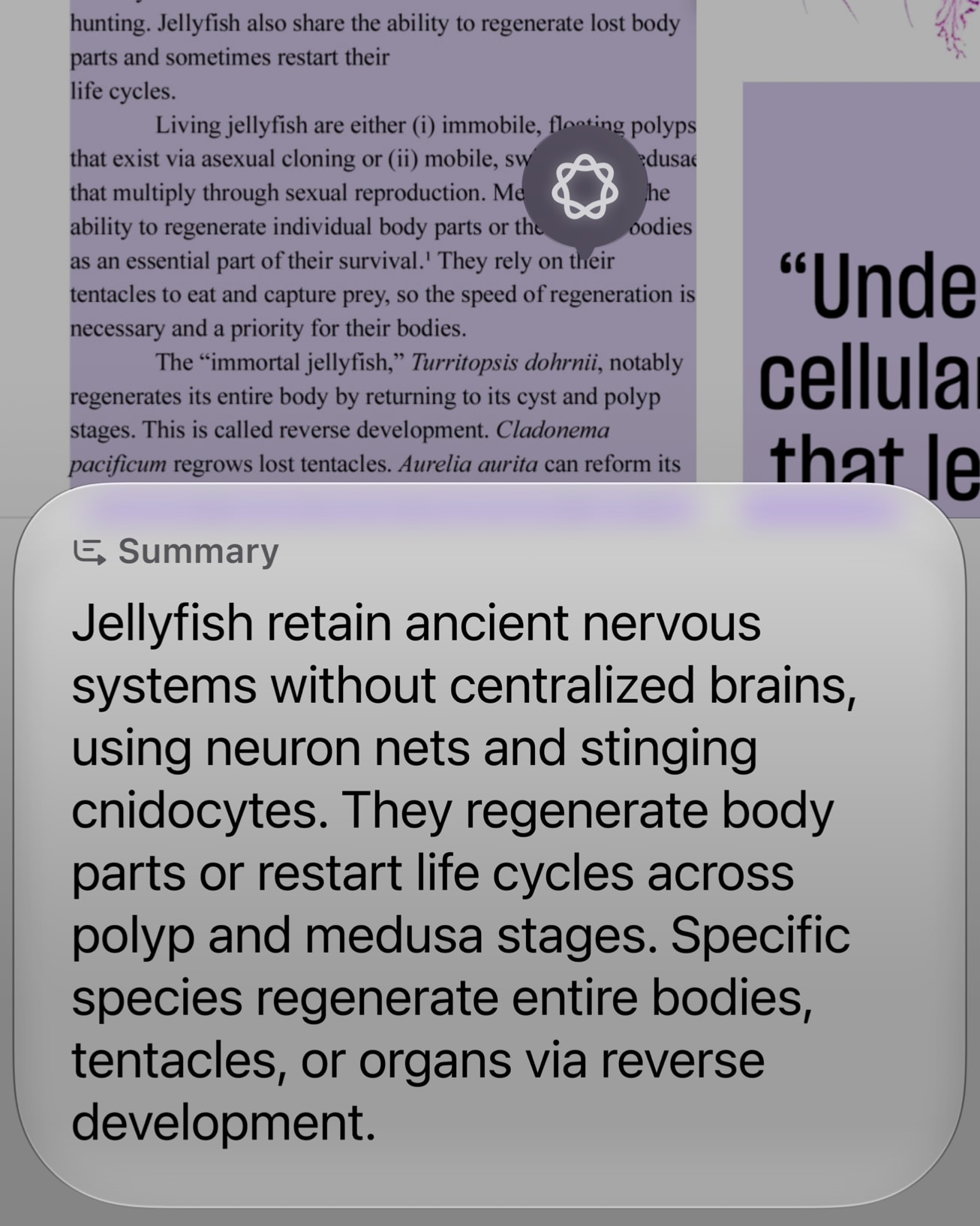Siri AI answers questions about the content on a user’s screen.