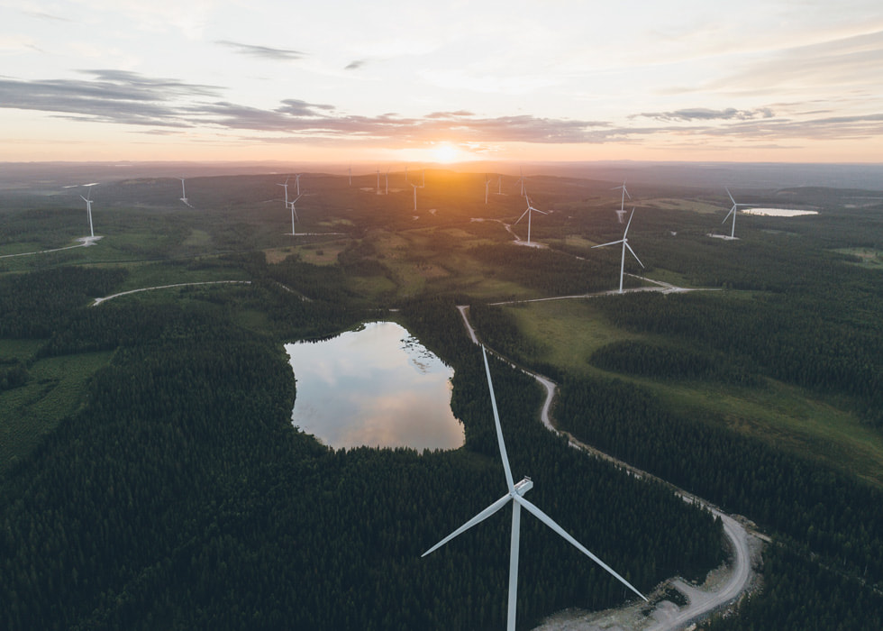 Dozens of windmills are shown in a forested setting at Holmen’s Blåbergsliden wind farm in Skellefteå, Sweden.