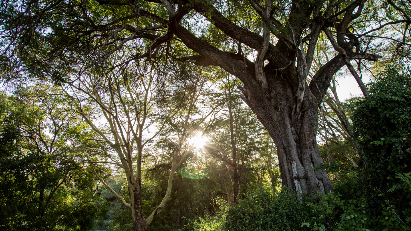The Chyulu Hills region of Kenya.