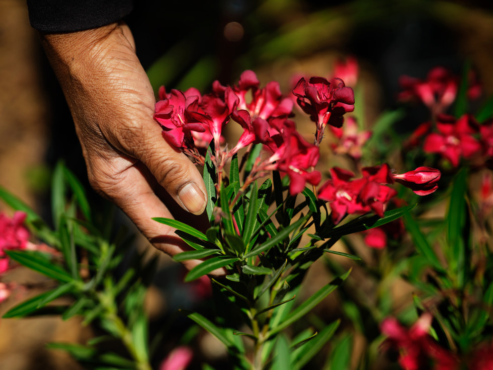 Veterans Square resident Tonia shows off the flowers in the housing complex’s garden.
