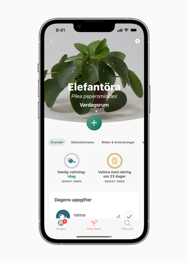 Växten elefantöra visas I Plantas app.