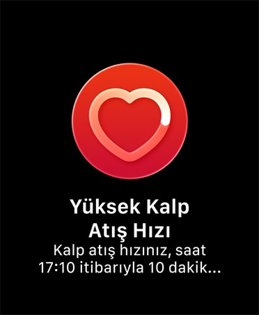 EKG uygulaması, kırmızı renkte kalp, EKG okumasını başlatmak için parmağı Digital Crown’da tutma istemi