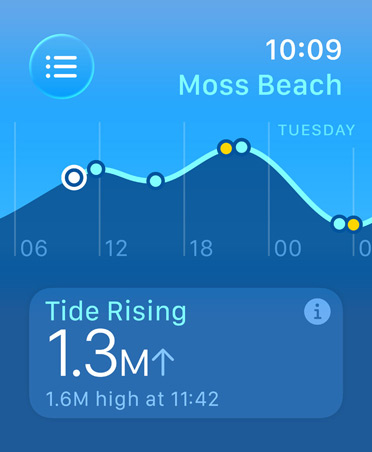 Tides app, metrics: high and low tides, rising and falling tides, line graph estimating times and tide points