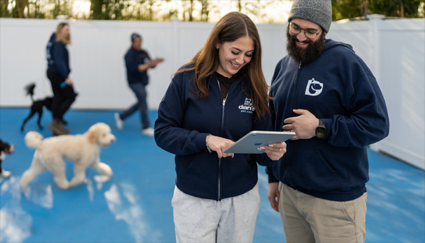 Two people standing next to each other, both interacting with an iPad, while two other people and dogs are in the background.