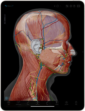 Complete Anatomy app shown on an iPad Air