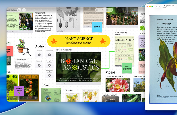 Mac 上的一個植物科學 Freeform 版面，整合了音訊、影片及研究資料，旁邊是 PDF 的預覽視窗，展現工作輕鬆高效