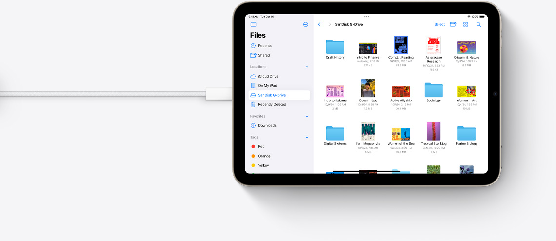 Ficheiros no iPad mini na vista horizontal ligado a um cabo USB-C.