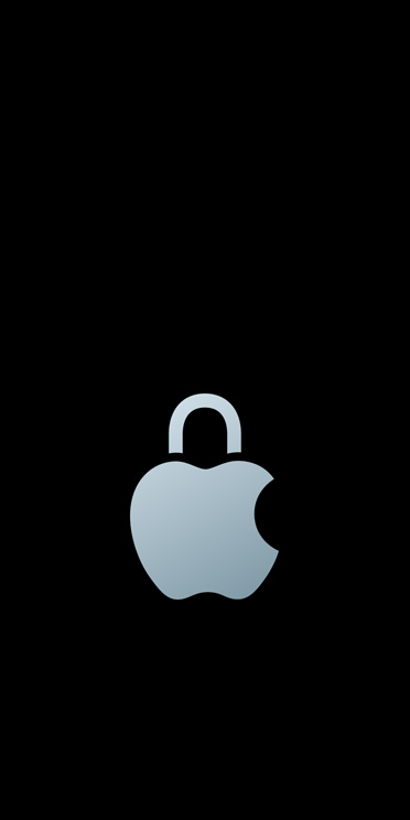 Apple Datenschutz Logo.