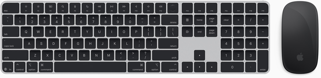 Imagem de cima do Magic Keyboard e do Magic Mouse.