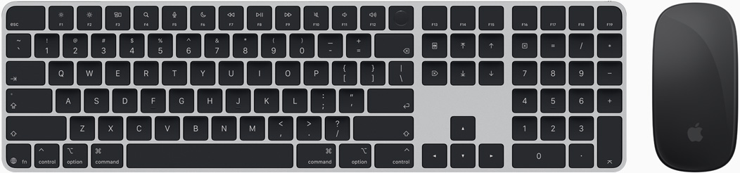 Mặt trên của Magic Keyboard và Magic Mouse