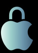 Apple Datenschutz Logo
