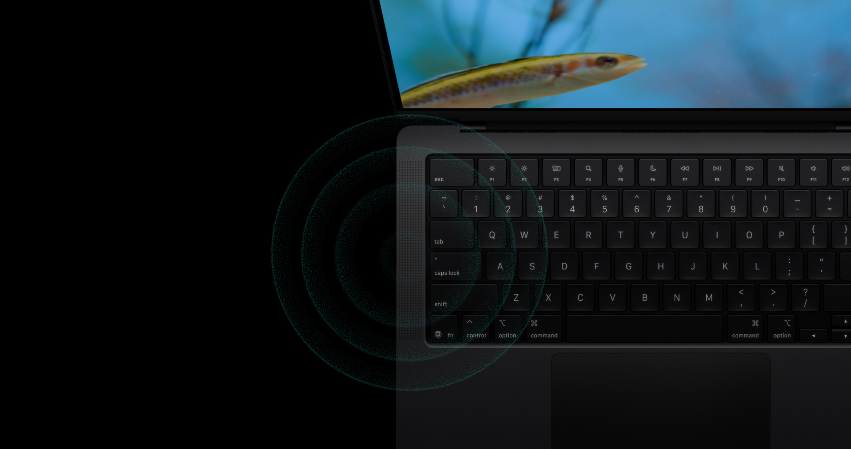 PV Audio Alternative