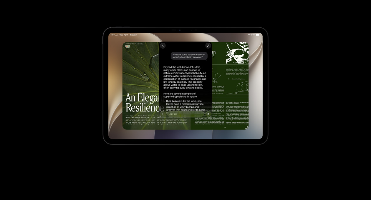 iPad Pro de 11 pulgadas, negro espacial, la pantalla muestra el resultado de una consulta a Siri AI para obtener información sobre un tema, superpuesta a la consulta hecha a Siri AI sobre dicha información, aparece la respuesta de Siri