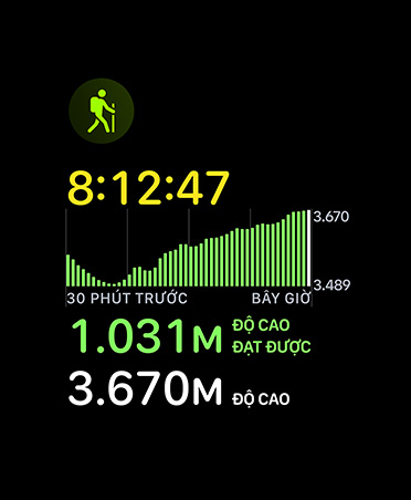 Hiking workout card, metrics: time, elevation